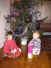010.normal.jpg