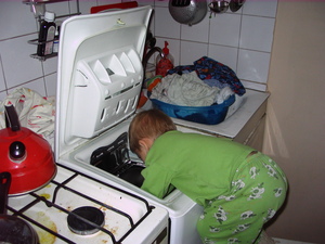 010.normal.jpg