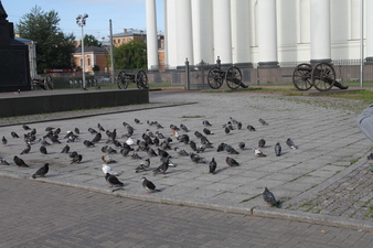 012.normal.jpg